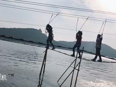 -东湖落雁景区