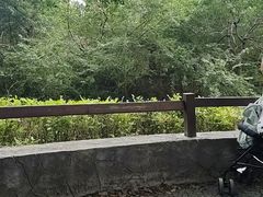 -宁波野生动物园