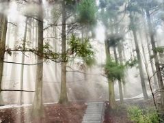 -庐山风景区花径公园