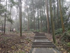 -凤栖山