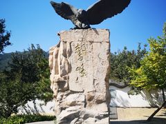 -北京鹫峰国家森林公园