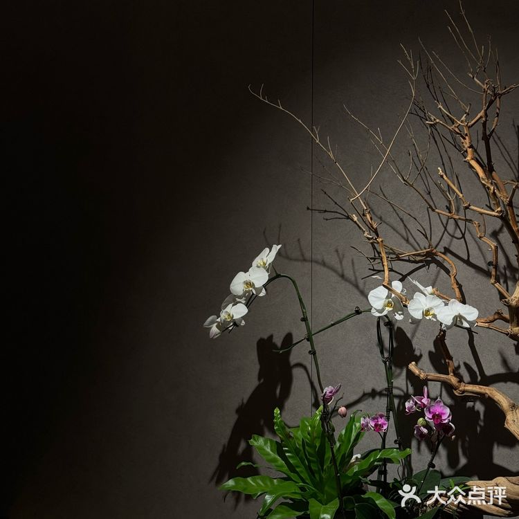 今天也要吃得精致1️⃣点