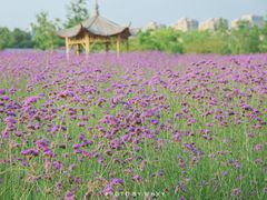 -杭州城北体育公园