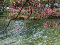 -中国茶叶博物馆(双峰馆区)