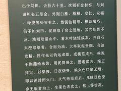 -龙泉青瓷博物馆