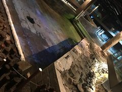 景点-元代水闸遗址博物馆
