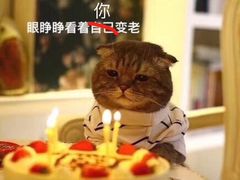 -金玛国宾酒店-自助西餐厅