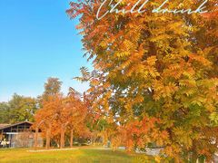 -白鹭湾湿地公园