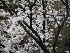 -中国茶叶博物馆(双峰馆区)