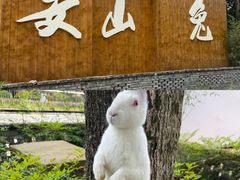 -青城山