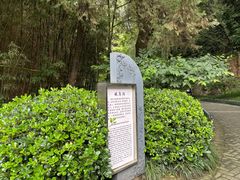 -西安曲江寒窑遗址公园