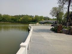 -塘沽森林公园