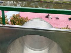 -苏州太湖西山岛开心农场