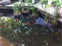 iphone_upload_pic-新竹里馆·花园餐厅(兴苑路店)