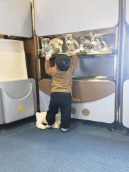 点击看大图 -奈尔宝·儿童乐园·亲子餐厅(鄞州万达店)