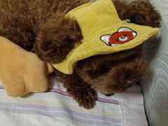 -瑞虹新天地月亮湾