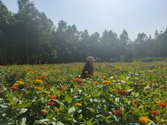 -艾溪湖湿地公园