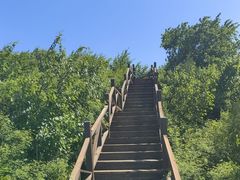 -大岭沟猕猴桃谷风景区