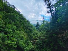 -凤凰山国家森林公园