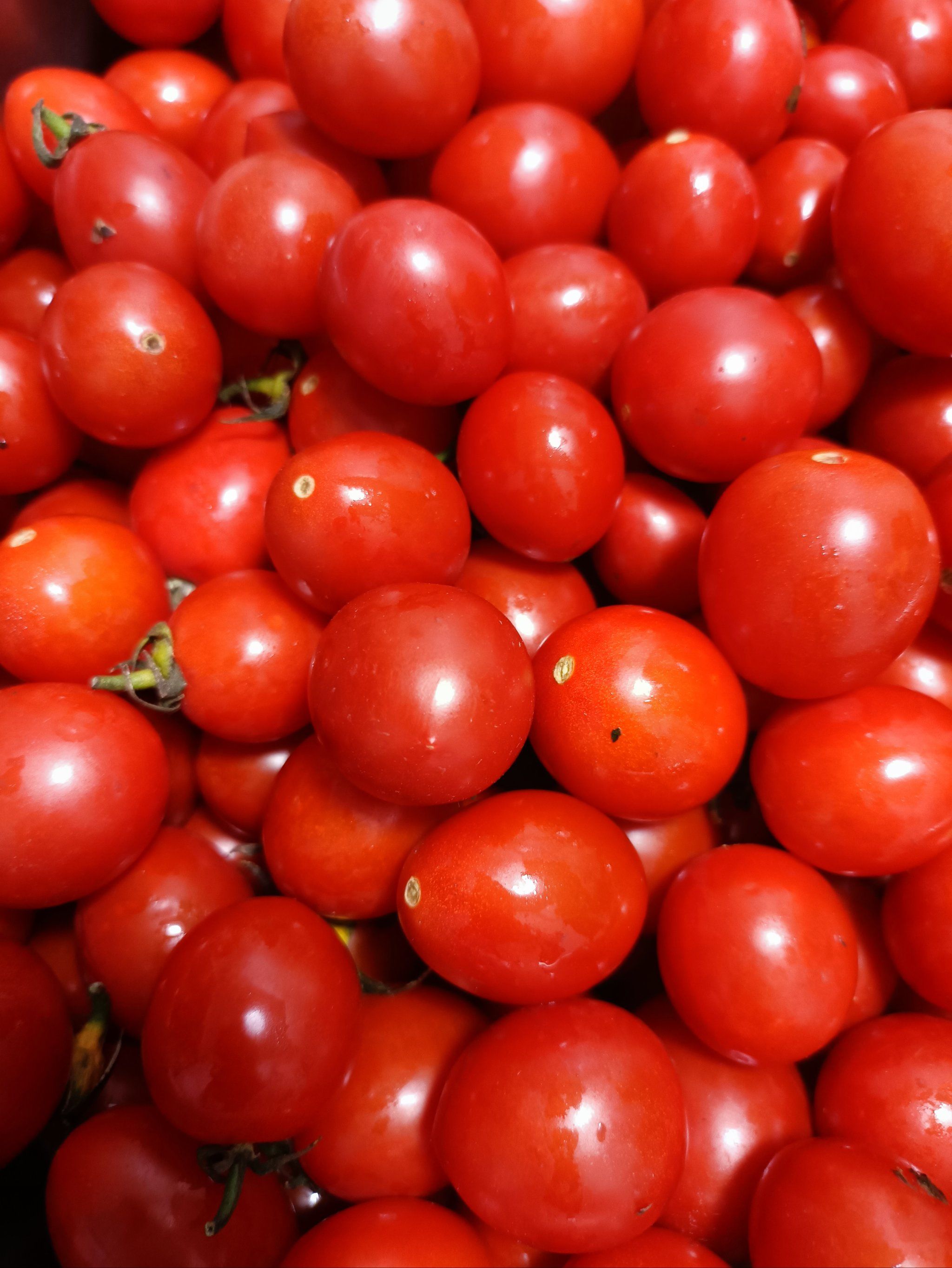 天天领红包 酸酸甜甜的小番茄,鲜嫩多汁