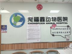 -宠福鑫动物医院(城北分院)