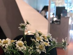 -伊斯坦布尔土耳其清真咖啡餐厅