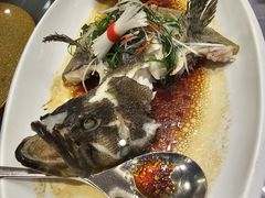 -东方御宴海鲜酒楼(棕泉酒店)