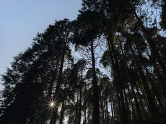 -含鄱口