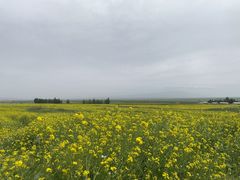 -扁都口生态休闲旅游区