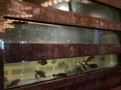 -观澜湖酒店·邀月庭中餐厅