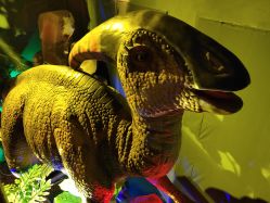 -恐龙探索乐园(磁器口店)