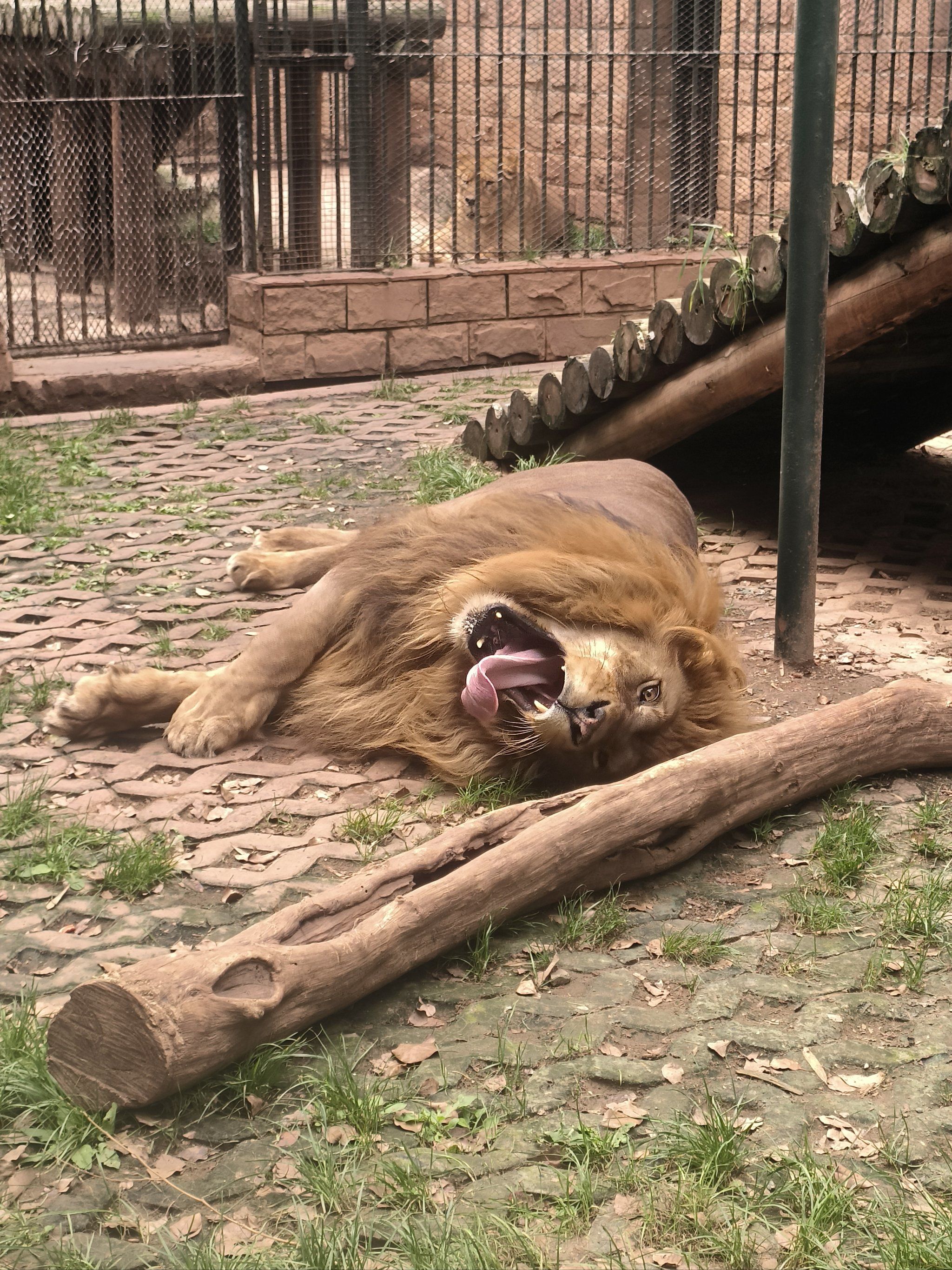 赭山动物园半日游