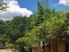 -元生咖啡(陶溪川店)