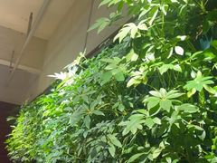 -巴奴毛肚火锅(广益哥伦布店)