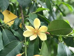 -苏州河梦清园环保主题公园