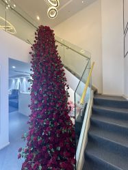 -春田皮肤管理中心品牌旗舰店