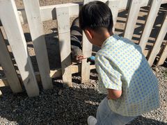 -前小桔亲子创意农场·草莓采摘·露营烧烤