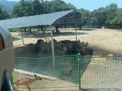 -西安秦岭野生动物园