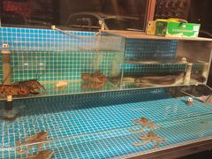 水产区-隐炉和牛烧肉店(群力店)