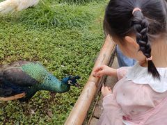 -昆明动物园