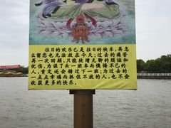 -溱湖国家湿地公园