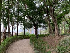 -九龙寨城公园