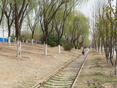 -永定河休闲森林公园