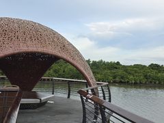 -东寨港红树林旅游区