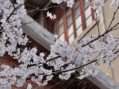 -鸡鸣寺