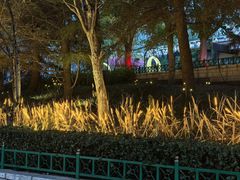 -青岛方特梦幻王国