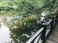 -宝岩生态观光园