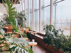 -Seesaw Coffee(朝阳大悦城店)