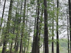 -东湖落雁景区