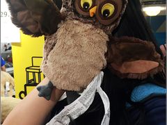 -宜家家居(哈尔滨商场店)